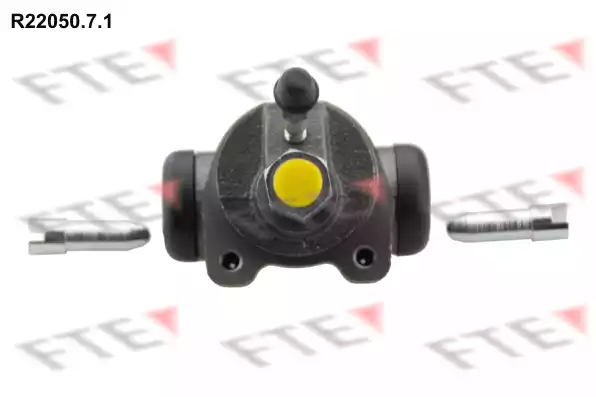 Цилиндр тормозной рабочий FTE R22050.7.1