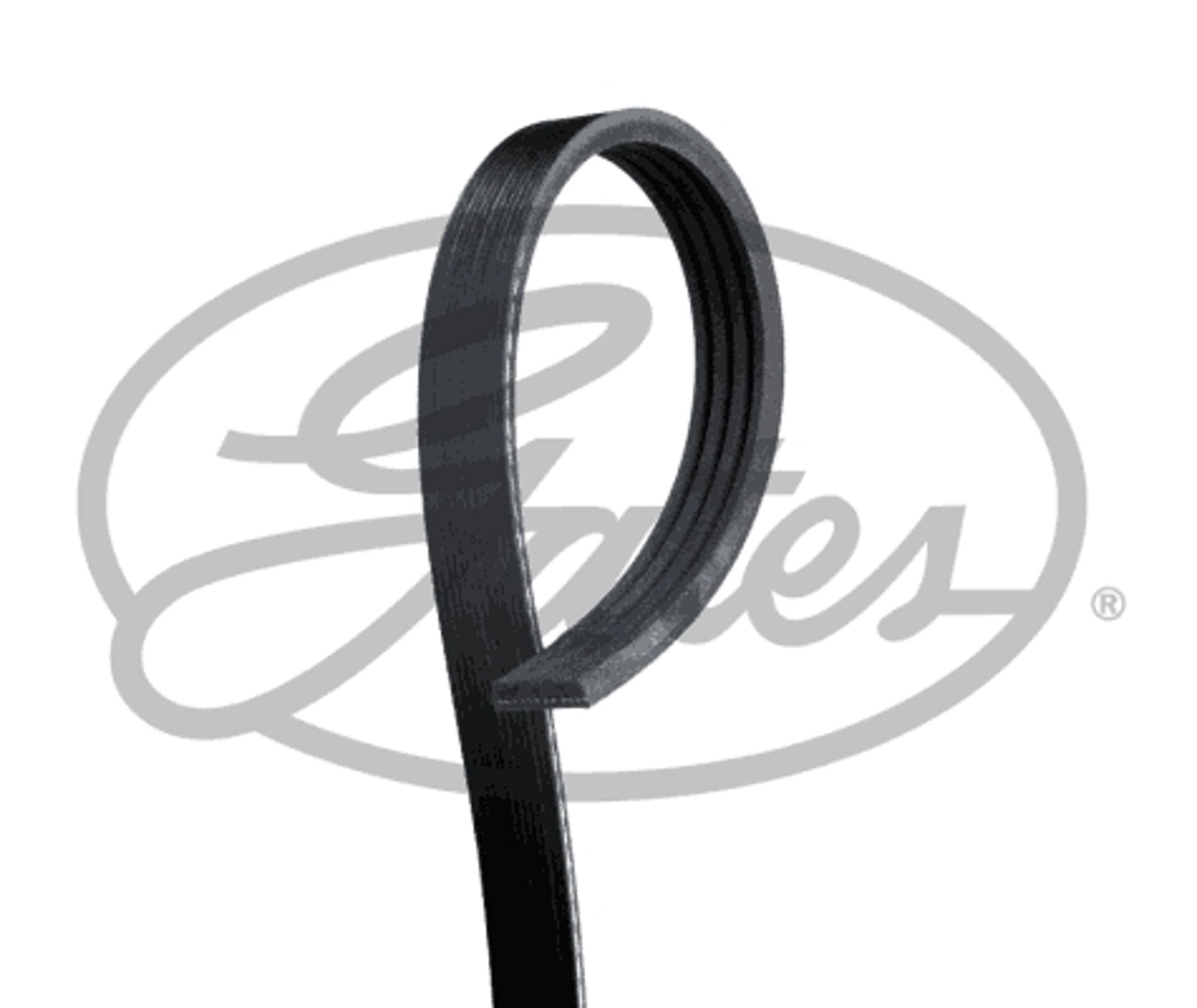 Ремень поликлиновой GATES 4PK550