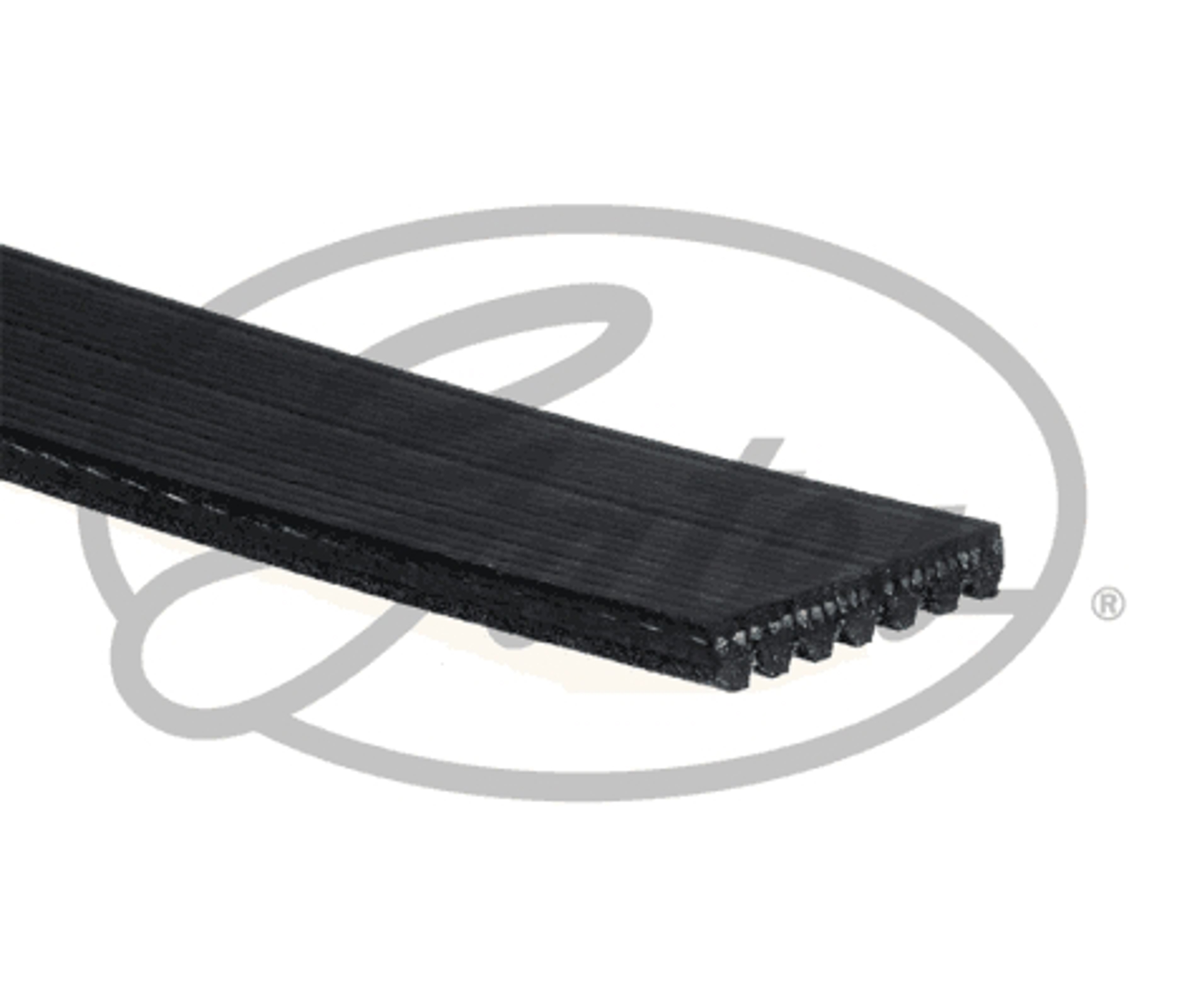 Ремень поликлиновой GATES 7PK1440