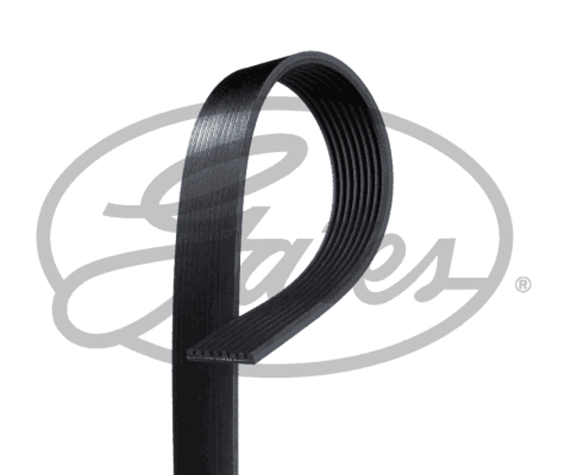 (8542-20104) ремень ручейковый gates GATES 8PK2553HD