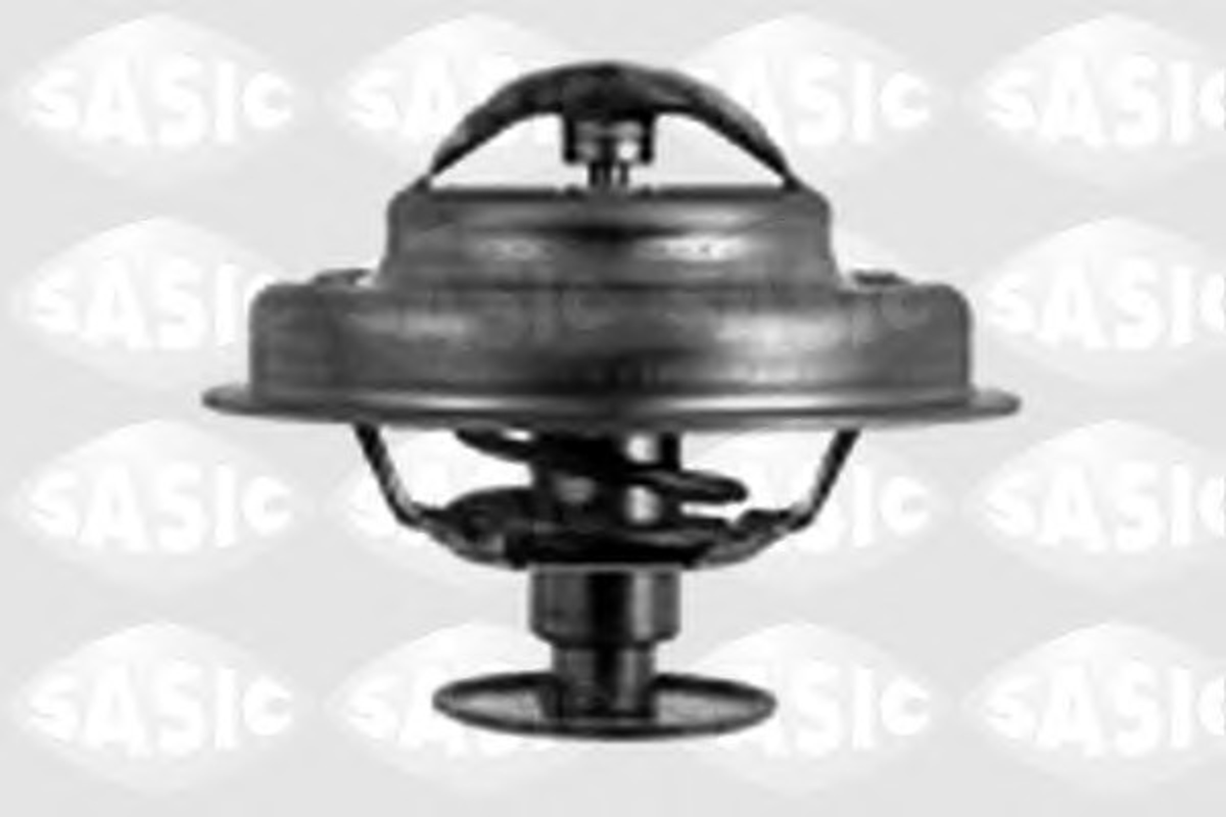 Термостат SASIC 3371641