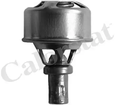 Термостат охлаждающей жидкости VERNET TH4495.89