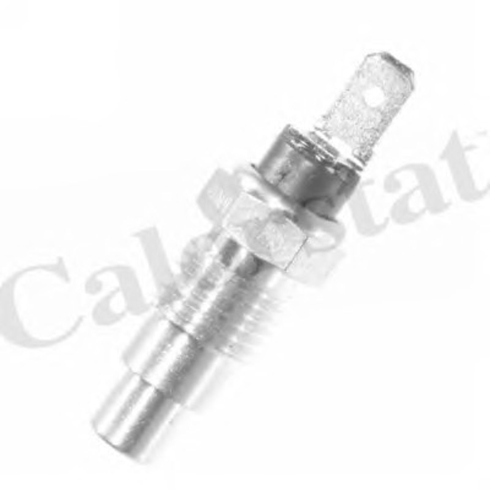 Датчик температуры VERNET WS2538