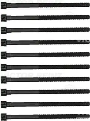Комплект болтов гбц m11x1.5x188/201 bmw 3 (f30 f80 g20 g80 g28) 5 (g30 f90) 7 (g11 g12) x3 (g01 f97) 1.6/2.0 15 b46b20/b48b16/b48b20 VICTOR REINZ 14-13082-01