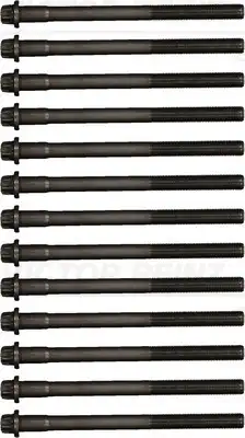 14-32300-01 к-т болтов гбц torx m18x2x246 VICTOR REINZ 14-32300-01
